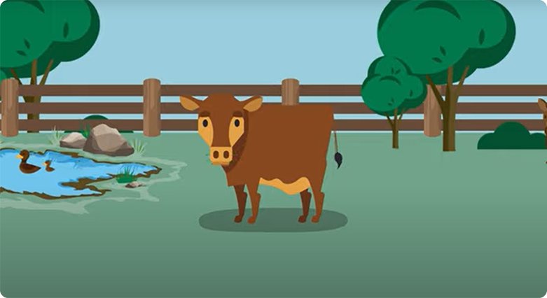 How can livestock be a part of the climate solution? The natural carbon cycle explained.