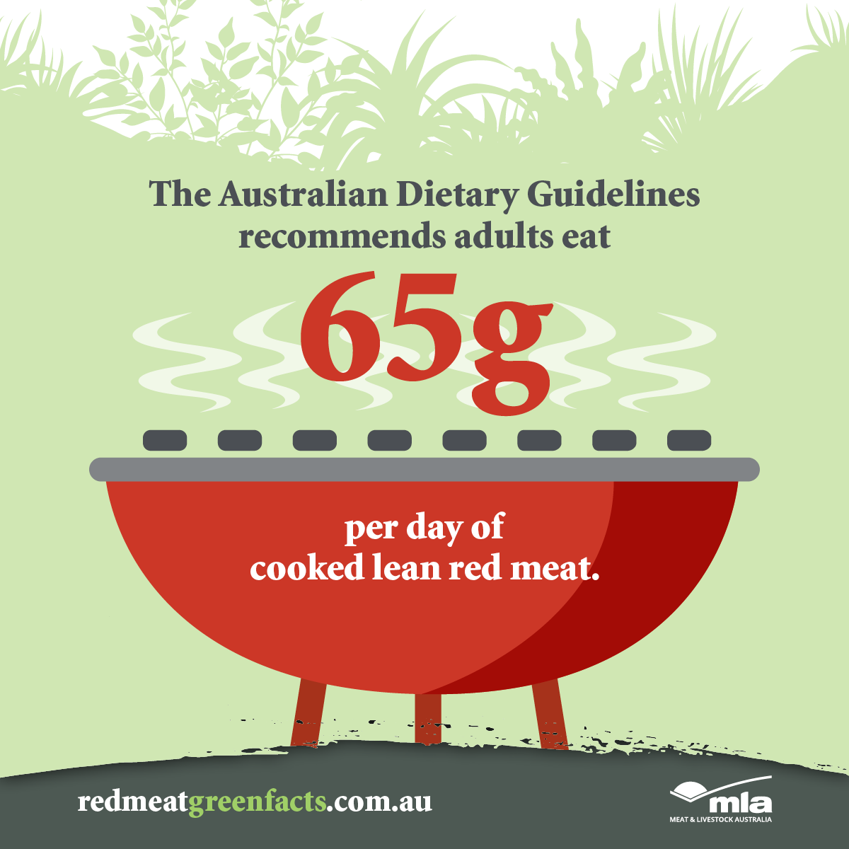 210315_red-meat-green-facts_social-tiles_lean-meat.png