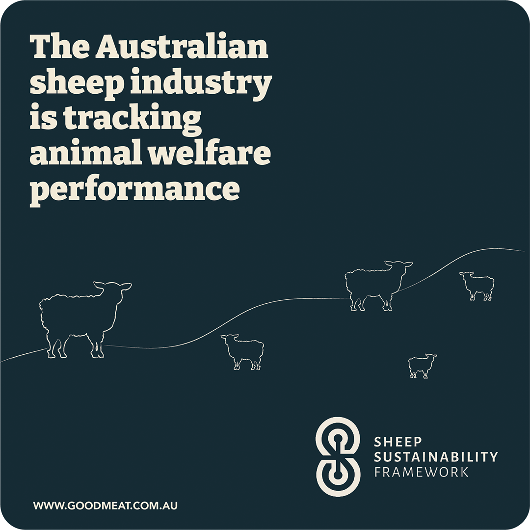 assf-welfare-metrics.png