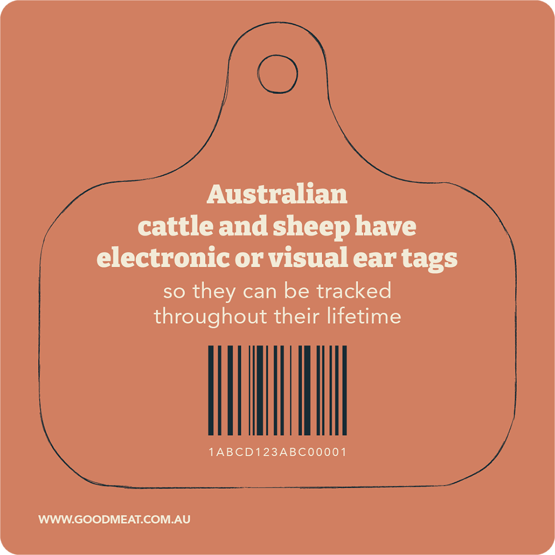 ear-tag-traceability.png
