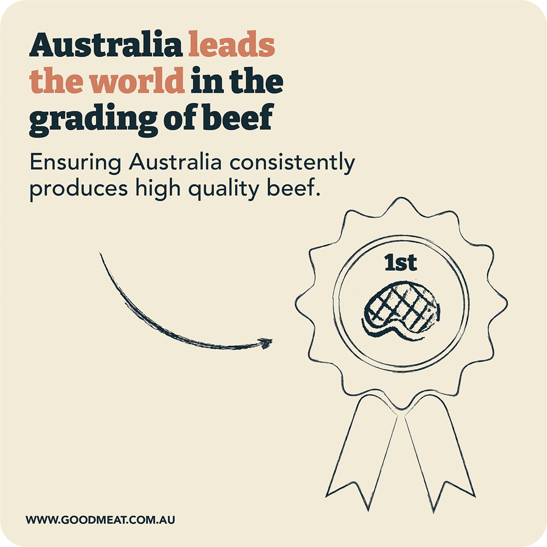 world-leading-beef-quality.png