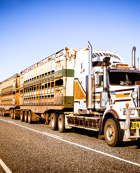 Red meat and transport