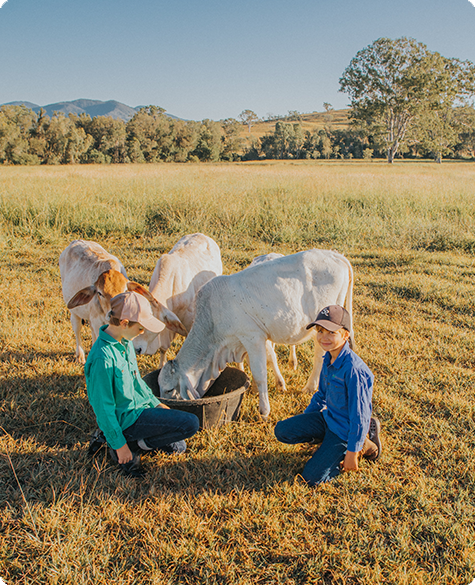 Educational resources