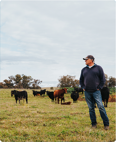 A future with lower emissions