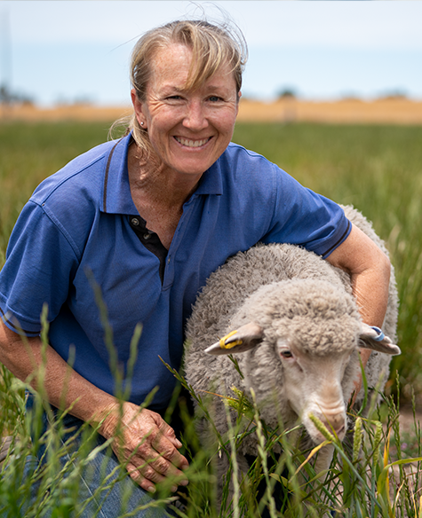 Australian Lamb 360°