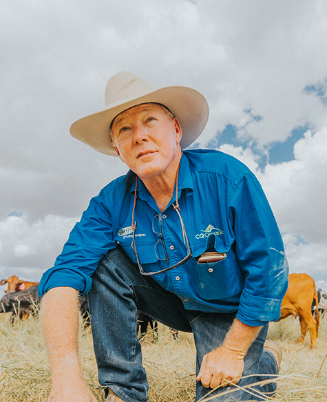 Cows and the climate solution 