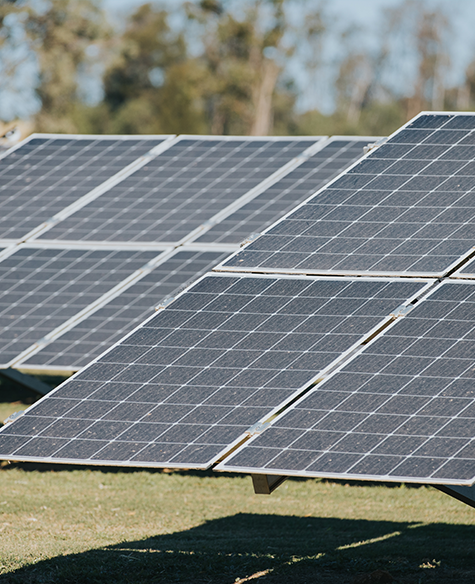 Harnessing the power of renewables