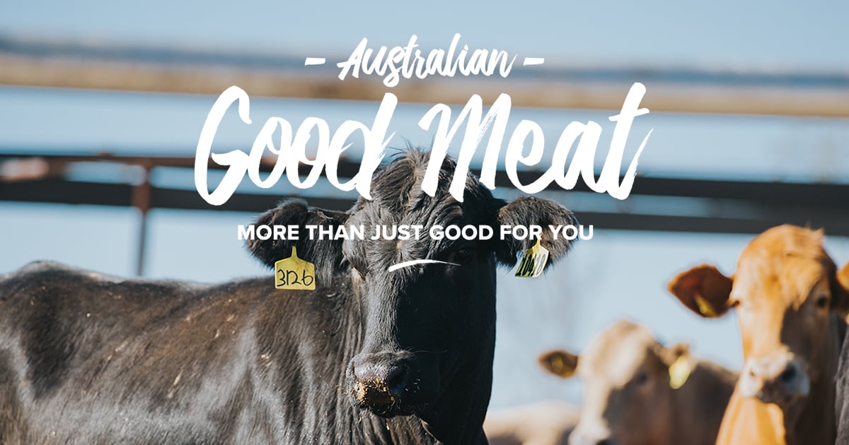 Red Meat & Hormone Use Hormones in Beef AGM