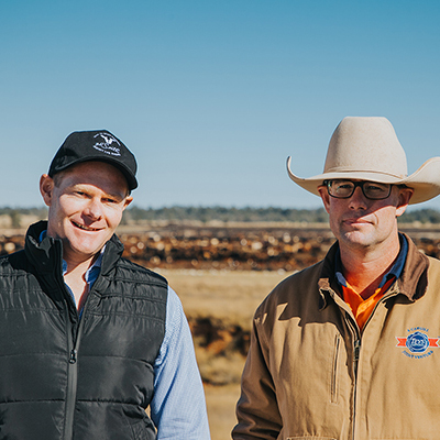 Wellbeing and sustainability at Teys Condamine Feedlot