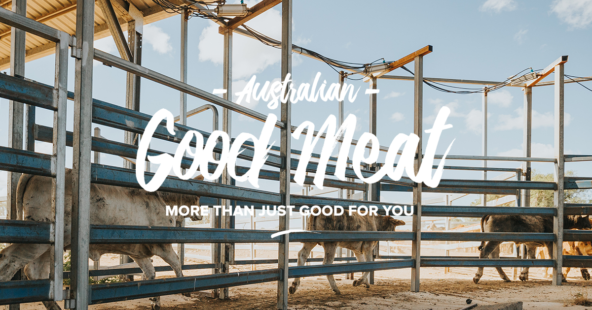 Livestock Transport Regulations Australian Good Meat