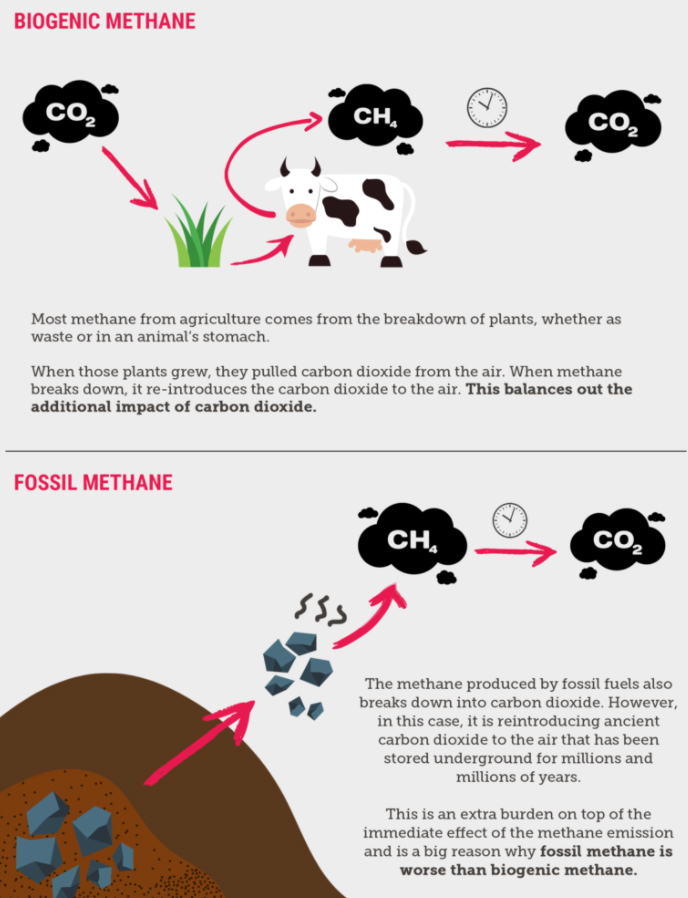 Объяснитель биогенного метана
