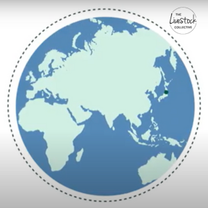 Livestock Collective