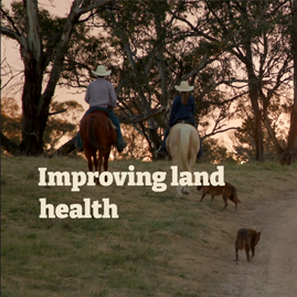 Caring for the environment